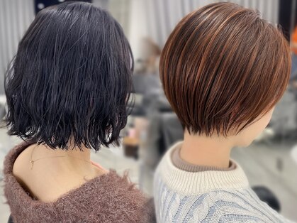 タム(tam)の写真