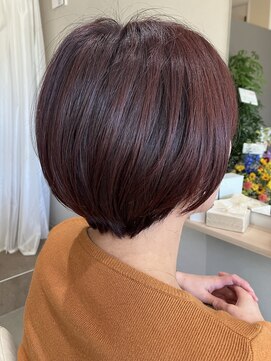 本と南風 guest design