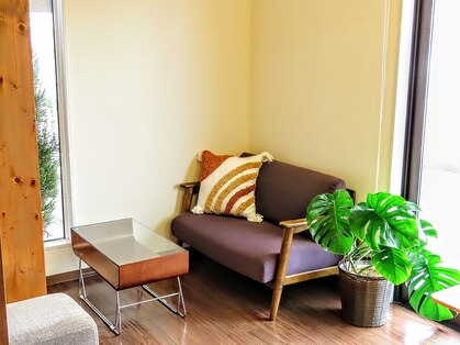 クラップヘアー(CLAP hair)の写真