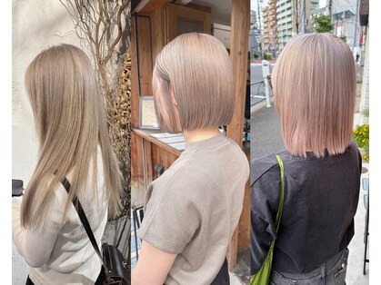 テイ(tei)の写真