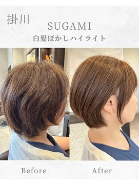 スガミ(SUGAMI) 白髪ぼかしハイライト