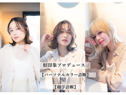 レゴヘアー(Lego Hair)の写真