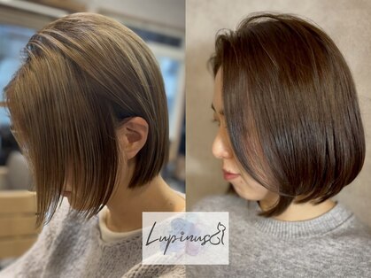 ルピナスの写真