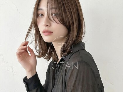 コタン(COTAN)の写真