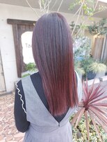 タエビスアリッサム(Taebis Alyssum)&nbsp;グラデーションカラー(イルミナカラー、北習志野)