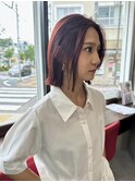 ヘイリーボブ