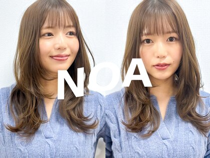 ノア(NOA)の写真