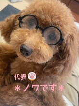 ノワ 三鷹店(Nowa) 代表 ノワ