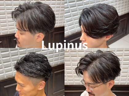 ルピナス(Lupinus)の写真