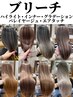 ブリーチ(ハイライトorインナーorバレイヤージュ) +カラー +カット +N.TR