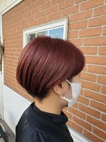 パリスガーデン(Paris Garden)&nbsp;チェリーレッドカラー