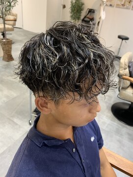 シードバイシャムロック(SEED by Shamrock) 星川指名　ツイスパ　ホワイトメッシュ　ハイライト