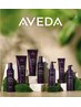 インヴァティ頭皮ヒーリングスパ+AVEDAカラー+カット+マスクトリートメント