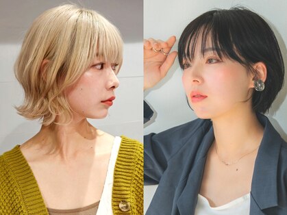 バイエイト(X８)の写真
