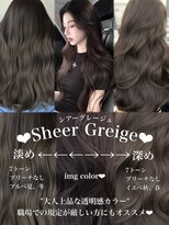 アマトウキョウスマートサロン(AMA TOKYO×Smart Salon)&nbsp;シアーグレージュ　ブリーチなし　レイヤーカット　海外風