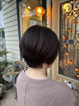 チョコレート(chocolate) ショートヘア