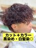 メンズカット＋トレンドカラー（白髪染め◎）［桜木町/men's］