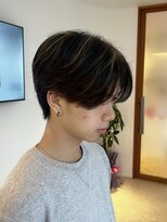 メゾン アンドロア(Maison. Andloa)&nbsp;センターパートメッシュ