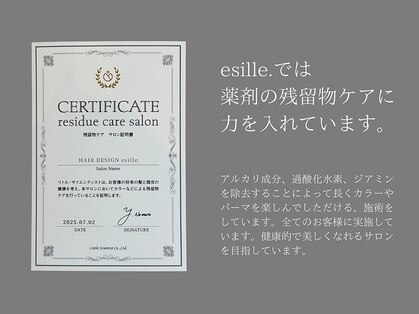 エシレ(esille.)の写真
