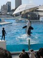 ティアム(TIAM) 鴨川シーワールドシャチのルーナ 心の癒やし。八千代/勝田台駅