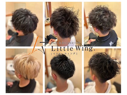 リトルウイング (Little Wing.)の写真