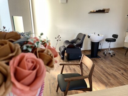 白うさぎの写真