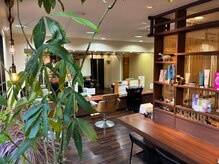 ソリアヘアー(Sorrir hair)の雰囲気（心地よい日差しが入るので温かみのある雰囲気です♪）