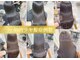 ヴェーレン(Wehlen)の写真
