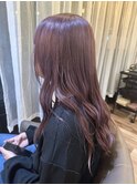 ピンクラベンダー