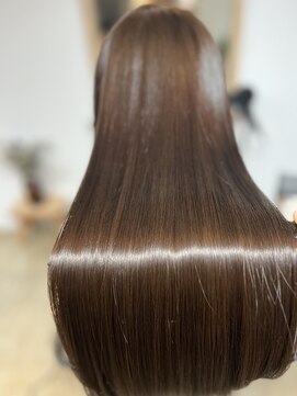 エルヴィタ(ELVITA) 『髪質改善メテオカラー』