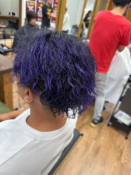 ルッカヘアガーデン バイ ラッシュゴールド(RUCCA HAIR GARDEN by LUSH GOLD) パープルパーマショート