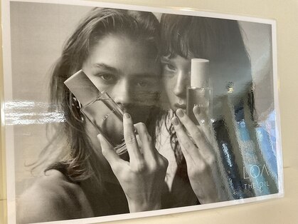 グラスルーツ(grassroots)の写真