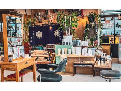 ルーミス バズヘアー(Loomis Buzzhair)の写真