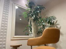 テラナチュレ(Terra Nature)の雰囲気（緑が気持ちいい！！）