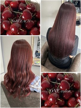 ダリア(Dahlia) チェリーcolor