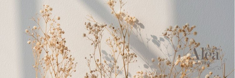 アーレア バイ リトル 横浜(Alea by little)のサロンヘッダー