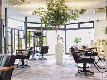 ルヴェルソー(le Verseau)の写真/丁寧なカウンセリングで一人ひとりのお悩みにしっかり向き合い、あなたに合った施術をご提案します♪