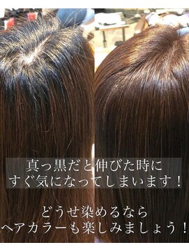 バグジー 黒崎(BAGZY) 白髪改善「ワダカラー」