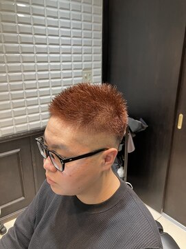 ルピナス(Lupinus) ファイヤーフェード