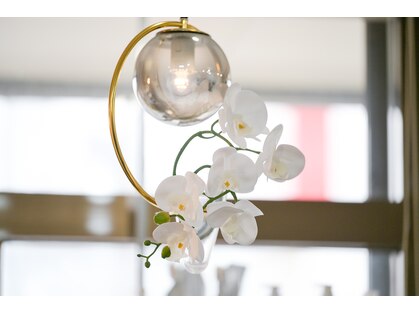 オーキッドヘア(Orchid hair)の写真