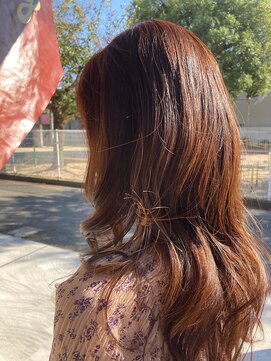 ワンデイ(One day) サロンスタイル【松山】Oneday