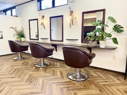 ミテ(miitte)の写真