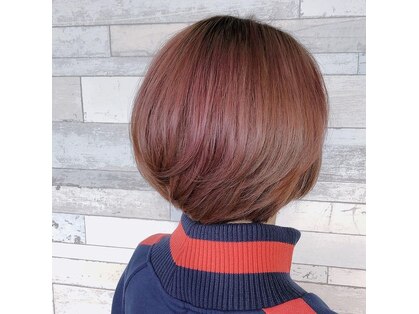 デイジー(Daisy)の写真