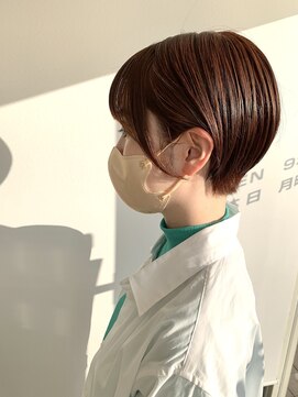 エバーグリーン(ever Green) terracotta