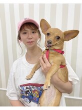 秋葉原 コットンアニュー(cotton anew)&nbsp;ハルミ 