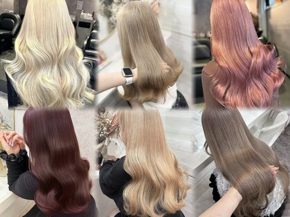 ラビスモア(Lovis moa)の写真