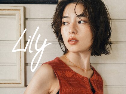 リリー(Lily)の写真