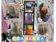 プラメーラ(PRAMEERA)の写真
