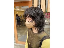 シプレ(cipre)