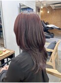 くびれ アプリコットオレンジ 夏のヘアアレンジハイライトカラー